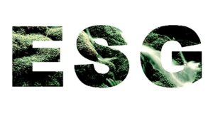 Investorer lægger pres på Danske Bank, DSV, Mærsk og Vestas