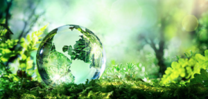 ØU Klima Rating 2024: Ekstra point for scope 3 og topchefbonus