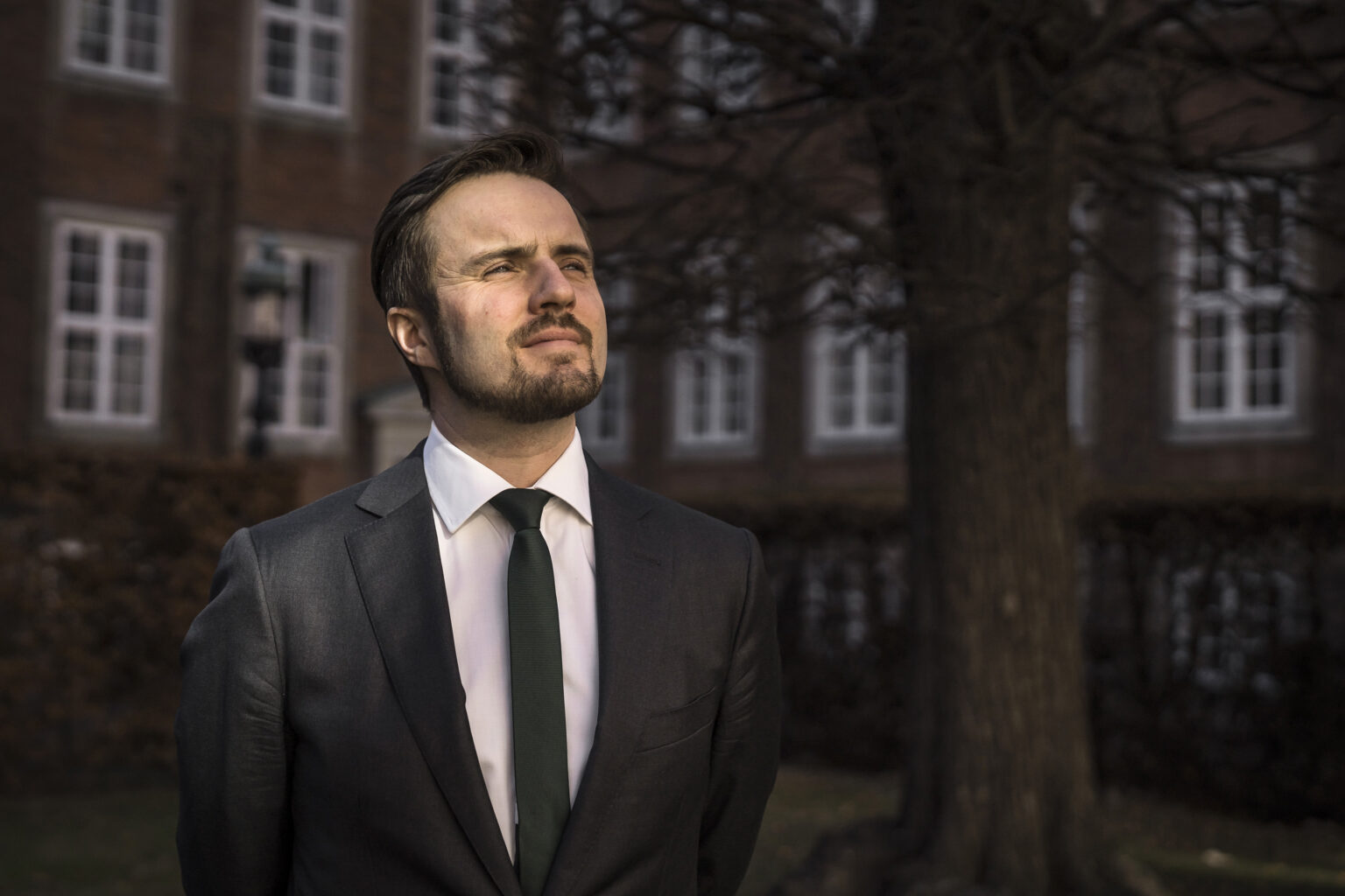 Grønborg: Kritikken af bankerne, der forstummede