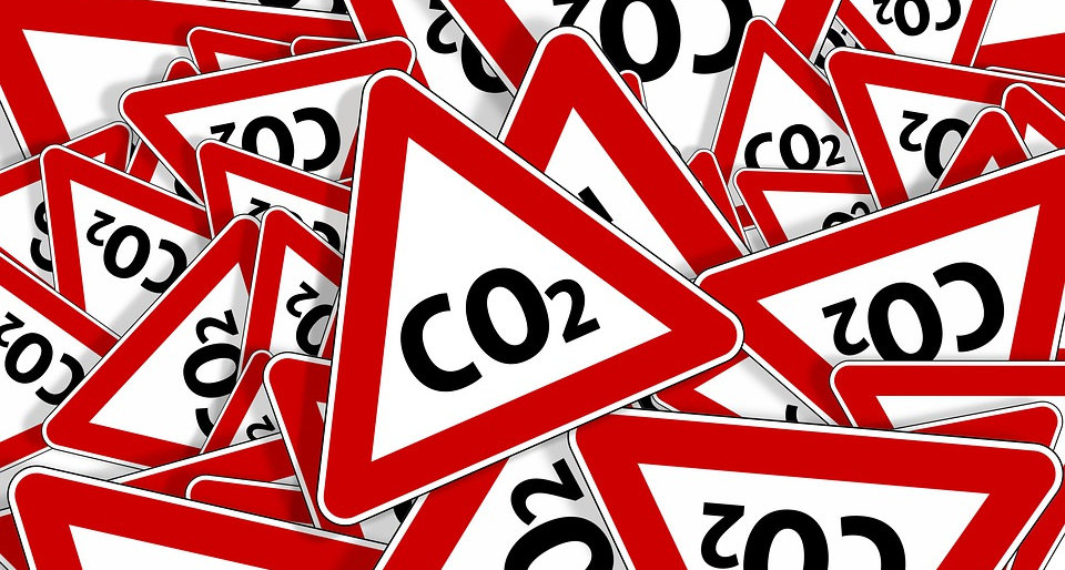 Internationale Rapporter og tendenser